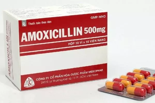 Amoxicillin-giup-giam-trieu-chung-viem-thanh-quan-man-tinh-do-nhiem-khuan